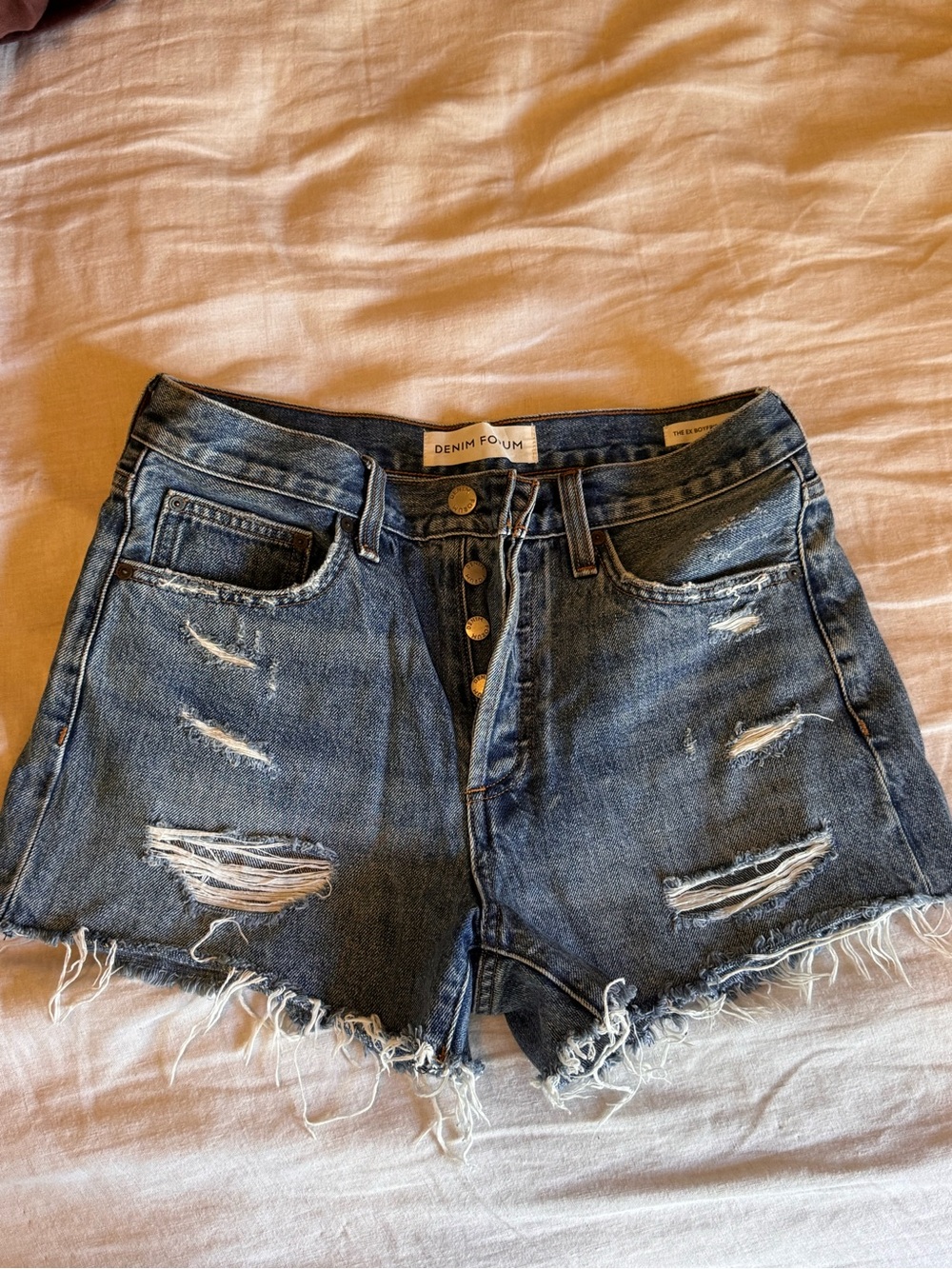 Aritzia Denim Forum Blue The Ex Boyfriend Short - Button-Fly Denim